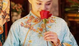 娱乐圈业内爆料白鹿,娱乐圈幕后真相大揭秘